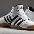 Les chaussures Adidas Taekwondo pour hommes sont-elles adaptées ?
