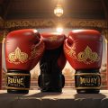Quels sont les meilleurs gants de muay thaï en 2024 ?